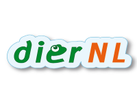Dier NL