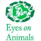 Eyes on Animals